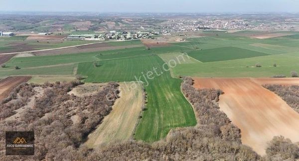 Celaliyede Bağ Bahçeye Uygun 3.979m2 Satılık Arazi !