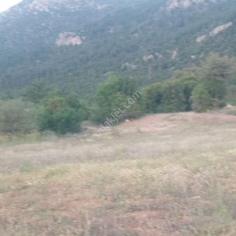 Denizli Çameli Cevizli Satılık Tarla