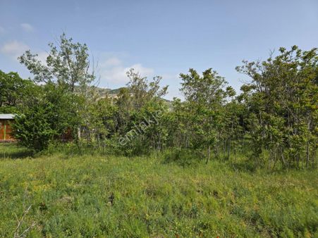 Ankara Bala Beynam' Da; Aplikasyonu Yapılmış 16,118m² Tarla