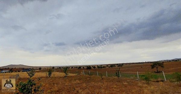 Bayat'ta Teli Çevrili 707 M2 Satılık Hisseli Tarla