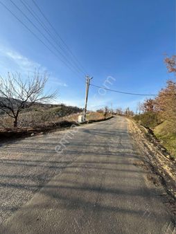 Aydın Nazilli Esentepe Mahallesi Satılık Tarla