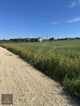 Umut Group Tan Satılık Hisse