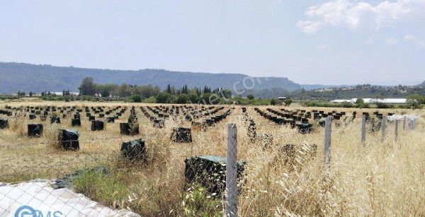 Antalya Aksu Karaöz Merkez Satılık 10.800 M2 Tarla