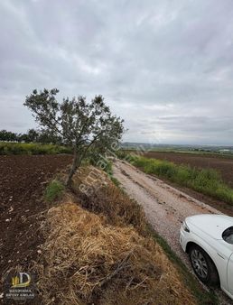 Detay Emlaktan Akçapınar Mh. Köy İçi 9136 M2 Satılık Tarla