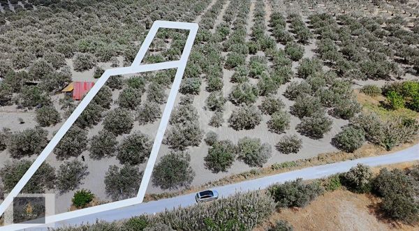 Akhisar Süleymanlıda Kaçırılmayacak Arazifırsatı2.400m²tektapu