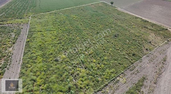 Akhisar Mecidiyede 19.550 M2 Fırsat Fiyata Satılık Açık Arazi