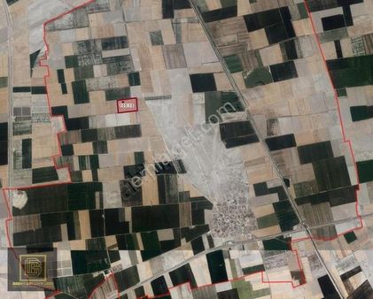 Dgn Grouptan Çengiltide Müstakil Tarla Yatırımlık Kaçmaz Fırsat