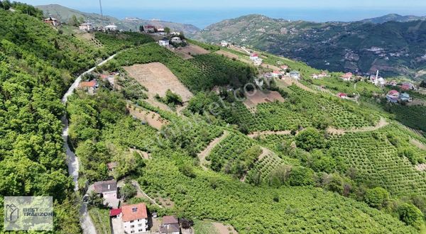 Best Of Trabzon-derecik Yolbaşı Satılık Arsa