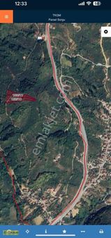 Merkez Dokuzpınar Mahallesinde Toplamda 9000 M2 Fındık Tarlası