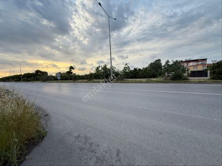 Alibey’den Terme Söğütlü Mah.de Satılık Fındık Bahçesi+ Ev