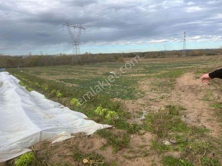 Kirklareli Merkez Asılbeyli 8 Dönüm Tarla Satılık