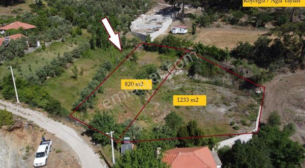 Yüksekkum'dan Köyceğiz Yaylada Çam Ormanı İçinde 2050 M2 Satılık