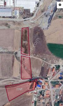 Erkan Anbar Dan Satılık Tarla Suluova Kazanlı Köyü İçinde