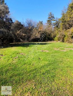 Muğla Milas Ören Alatepede Muhteşem Doğa İçinde Bahçe