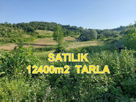 Bursa M.kemalpaşa Yalıntaşta Satılık İmarsınırına Yakın 12400m2 Tarla