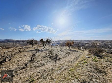 İnanan Emlaktan Nar Karaağaç Mekvii Satılık Arazi