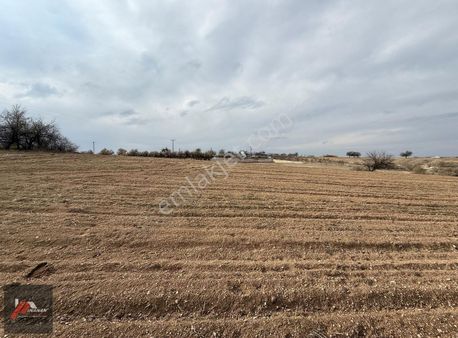 İnanan Emlaktan Cevher Dudayev Mah. Bağırsak Mevkii Arazi
