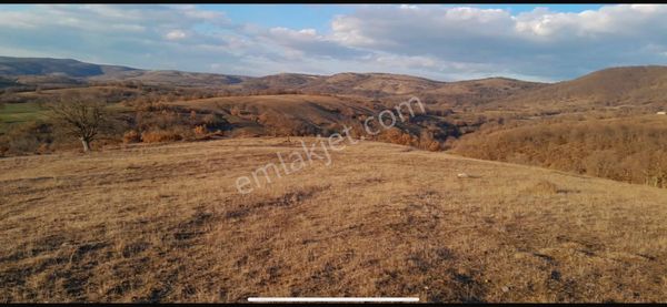 Kırklareli Kofcaz Elmacık Köyün’de 16.384 M2 Tarla