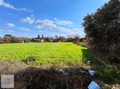 Tuana Emlak'tan Yangı Mahallesinde 2850 M² Tarla