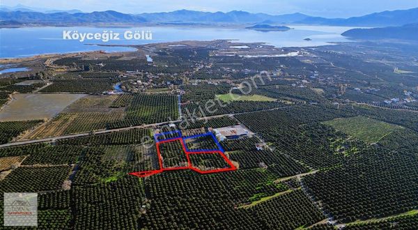 Tuana Emlak'tan Köyceğiz Hamitköy'de 22.221m² Satılık Tarla