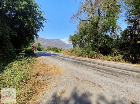 Tuana Emlak'tan Köyceğiz Toparlarda 1200m² Satılık 2-b Arazi