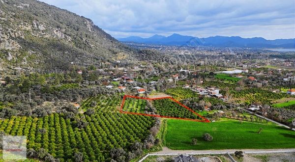 Tuana Emlak'tan Yangıda 7000m2 Hisseli Tarla