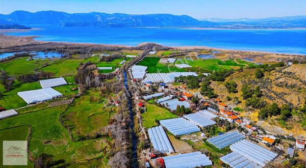 Tuana Emlak'tan Köyceğiz Mahallesin'de 4.855m² Satılık Tarla