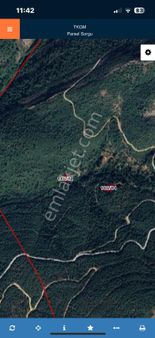 Balıklesir- Kepsut- Kayacıklar Mahallesi Nde 453 M² Doğa İçi Tarla