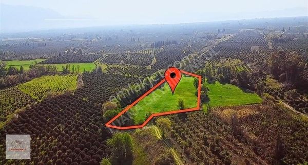 Tuana Emlak'tan Döğüşbelen' De 8.5 Dönüm Satılık Tarla ..!