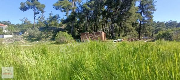 Tuana Emlak'tan Ula Karabörtlen'de 723m² Arsa