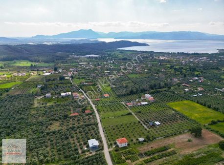 Tuana Gayrimenkulden Zeytinalanın Da Yola Çift Cepheli