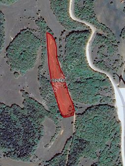 Vize - Küçükyayla'da 8.800 M2 Tek Tapu