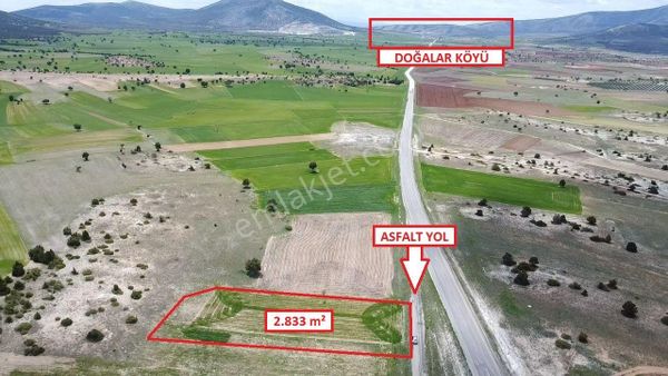 Kütahya Merkez Doğalar'da 2833m2 Satılık Tarla