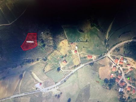 Kocaeli Kandıra Sarıahmetler Köyünde Satılık 2,415 M2 Fındıklık