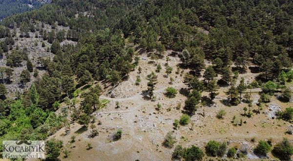 Kocabıyık Gayrimenkul'den Altındere Yatırımlık 15.050m2 Tarla