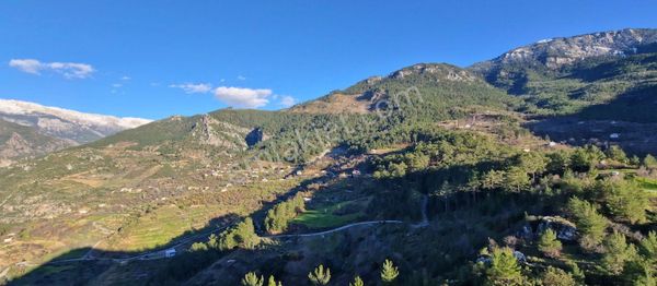 Gazipaşa Doğanca Mahallesinde Satılık İki Ade 7'şer Dönür Tarla