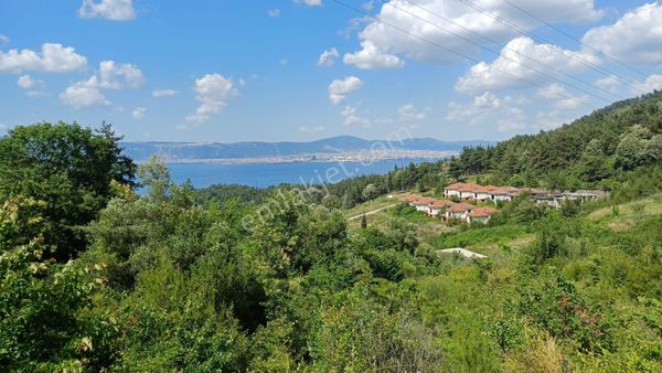 Kocaeli Gölcük A.ulaşlı Deniz Manzaralı 756 M2 %15 Konut İmarlı Satılık Arsa
