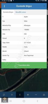 Söke Ovasında Verimli Satılık Bugday Ve Pamuk Tarlası