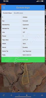 Korkuteli Caykenarı 5771 Mt Kadostura Olan Tarla Satılık