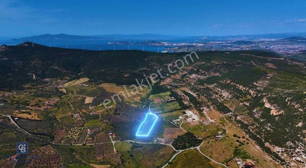 Foça Da Satılık Tarım Arazisi