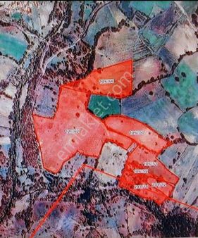 Balıkesir Dursunbeyde Satılık 80 Dekar Köye Bitişik Baraj Suyu Olan Arazi