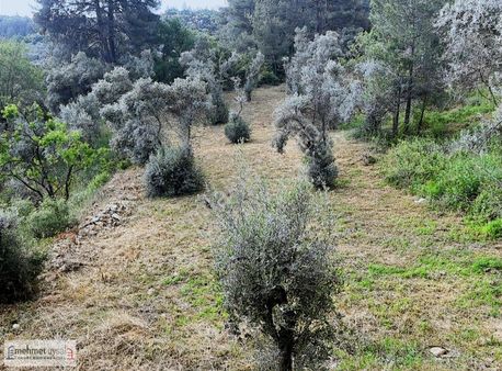 Muğla Ula Kızılağaçta 1741 M2 Satılık Arsa