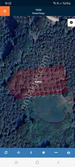 Satılık Fındıklık Uygun Fıyat