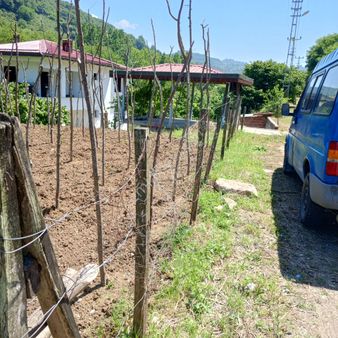 Perşembe Caytepe Mahallesi Satılık İmarlı 1102m2 Düz Bahçe.