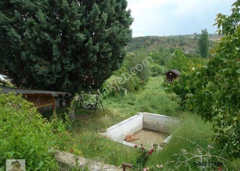 Uşak-çokkozlarda Çevre Yolu Cepheli 3000 M2 Bağ Ve Bağ Evi