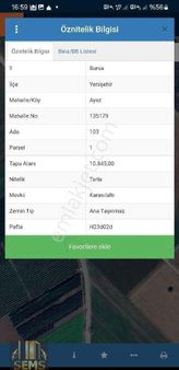 Ayaz Köyünde Karasıl Köy Asfaltına Cepheli Satılık Tarla