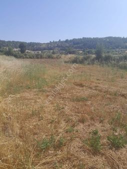 Hayal Emlaktan Satılık 728 M2 Tarla