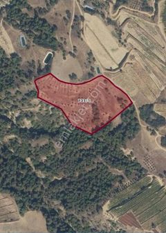 Alaşehir Kurudere'de Yatırımlık Tarla