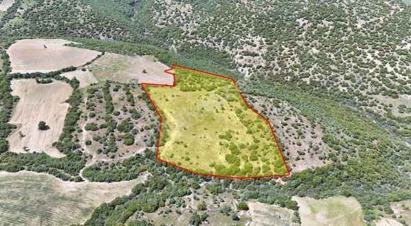 Gördes Dikilitaş Mahallesi'nde Yatırıma Uygun Tarla