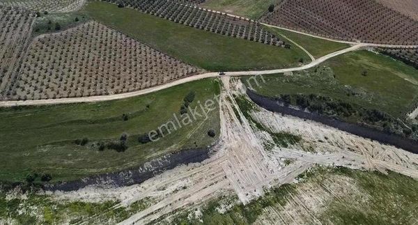 Fırsat..!!!! Mevlütlüde Yatırımlık 66000 M2 Zeytinlik